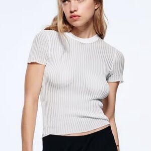 NWT Zara large see thru mesh shirt 988